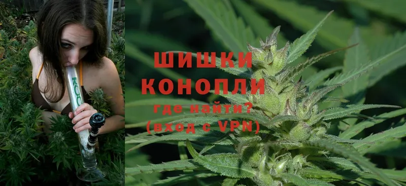 ОМГ ОМГ ТОР  Лобня  Каннабис White Widow 